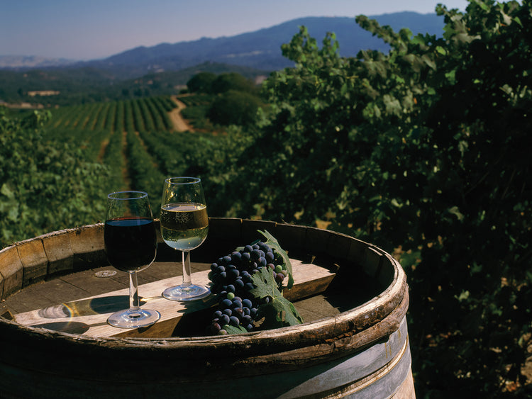 Sonoma te saluda Lienzo