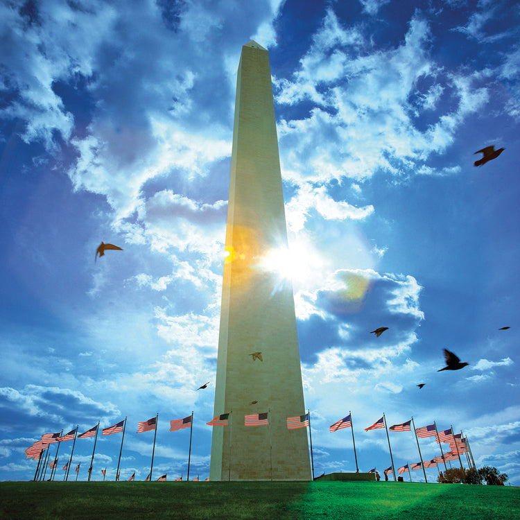 Sunny DC Monument