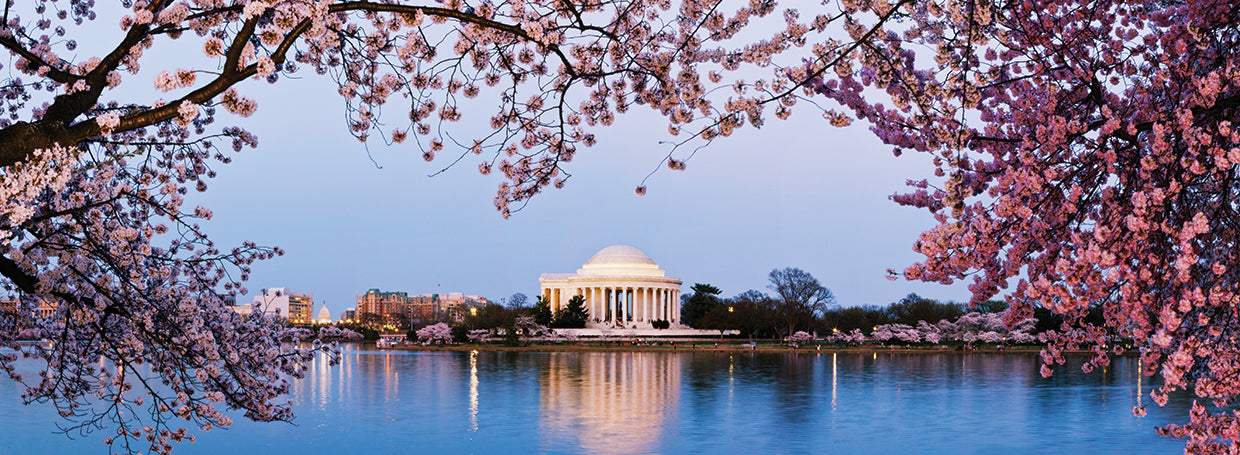 Primavera conmemorativa de Jefferson Lienzo
