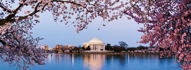 Primavera conmemorativa de Jefferson Lienzo