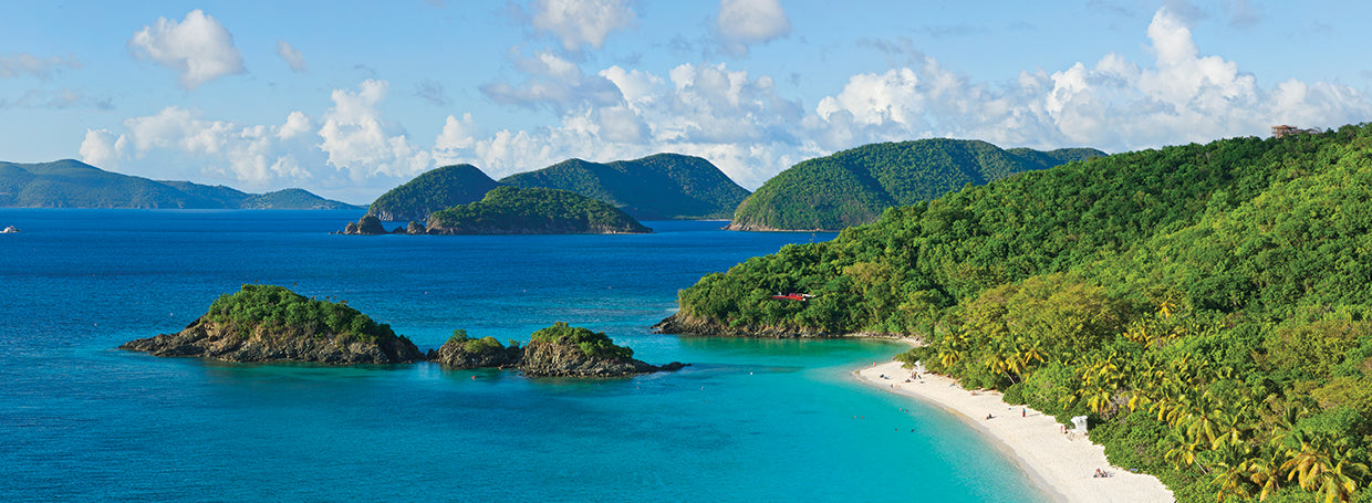 Tropical Trunk Bay VI Lienzo