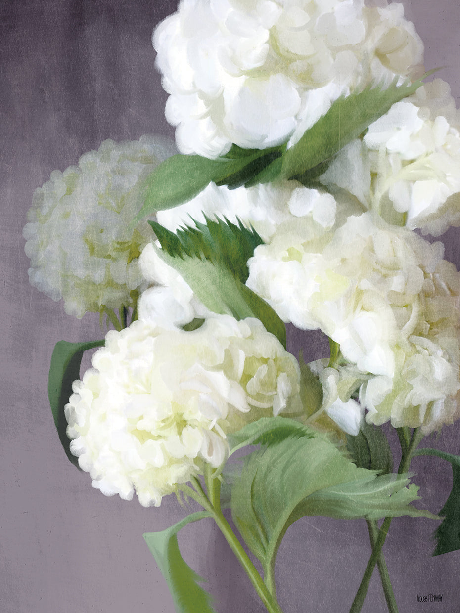 Snow Hydrangeas
