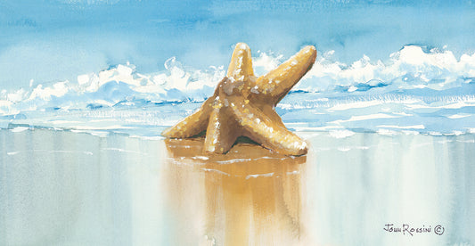 Sea Treasure Canvas Print