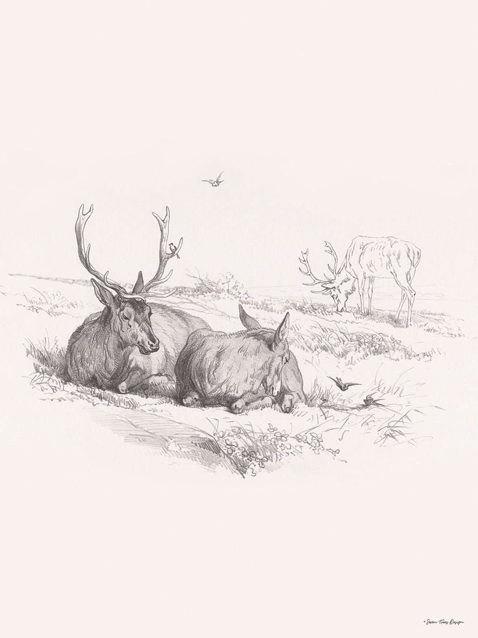 Reindeer Chilling