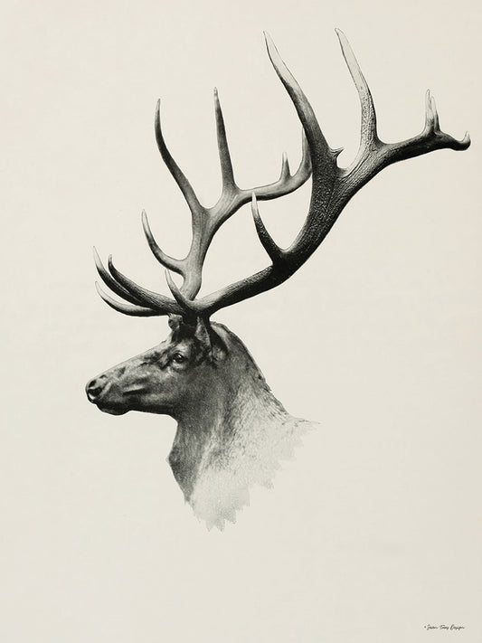 Mountain Reindeer Canvas Print