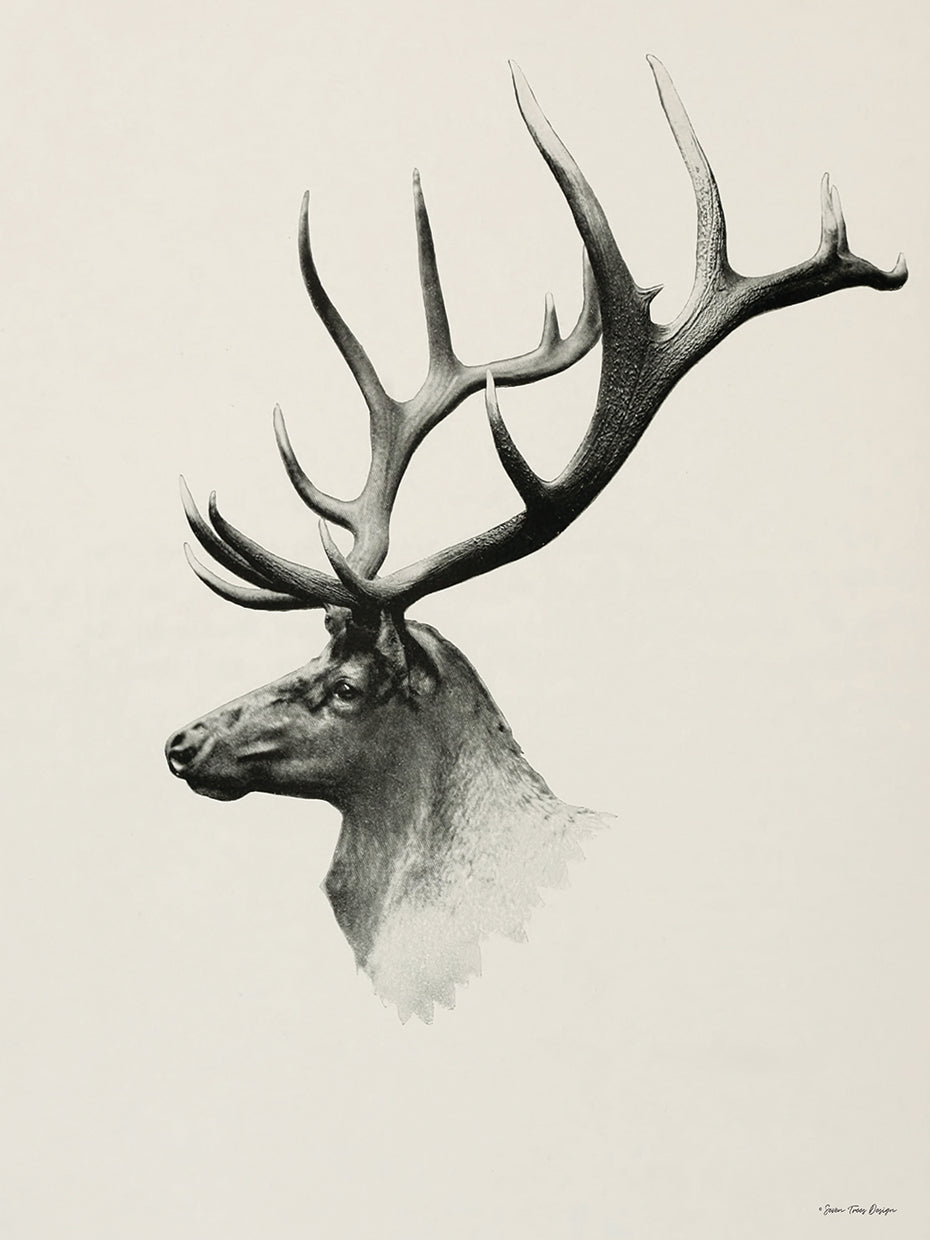 Mountain Reindeer