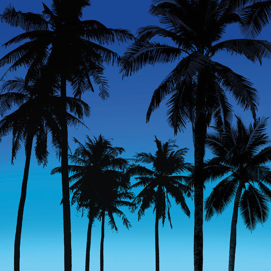 Palms Black on Blue I Canvas Print