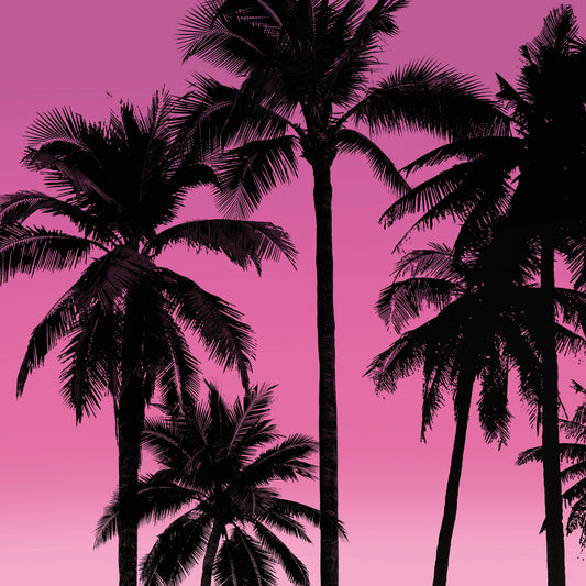Palms Black on Pink I Canvas Print