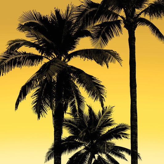 Palms Black on Yellow I Canvas Print