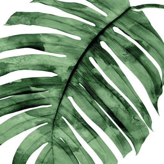 Tropical Green Palm II Canvas Print