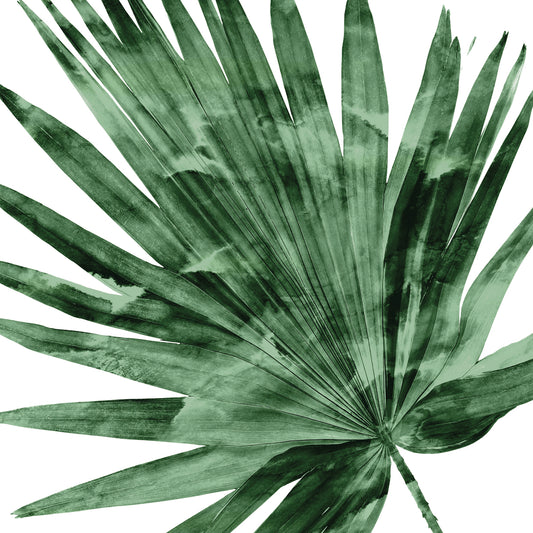 Tropical Green Palm IV Canvas Print