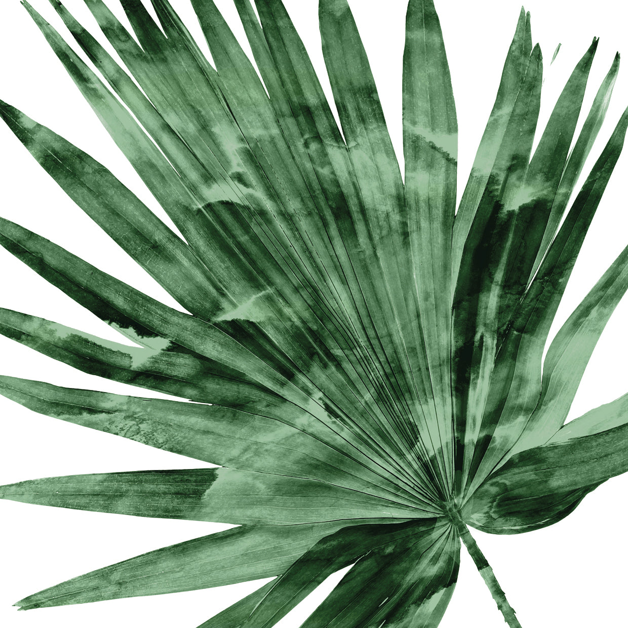 Tropical Green Palm IV