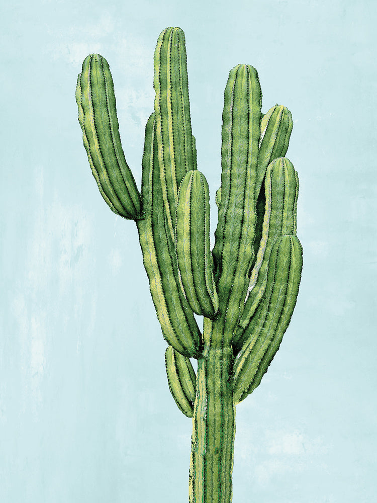 Cactus on Blue I