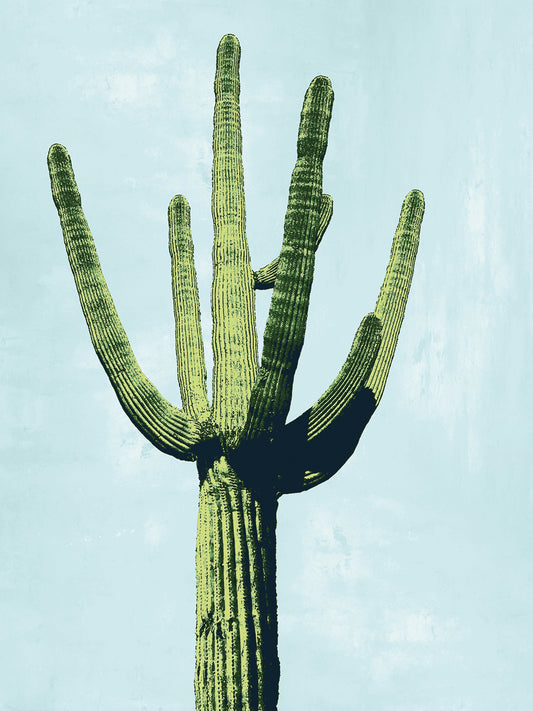 Cactus on Blue III Canvas Print