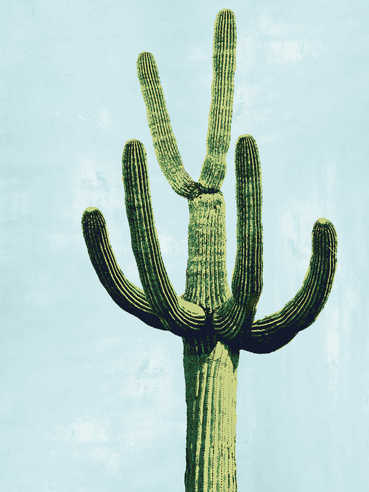 Cactus on Blue IV Canvas Print