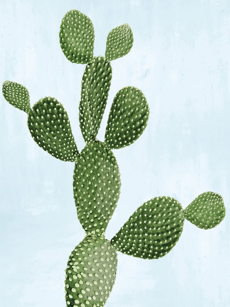 Cactus on Blue VII
