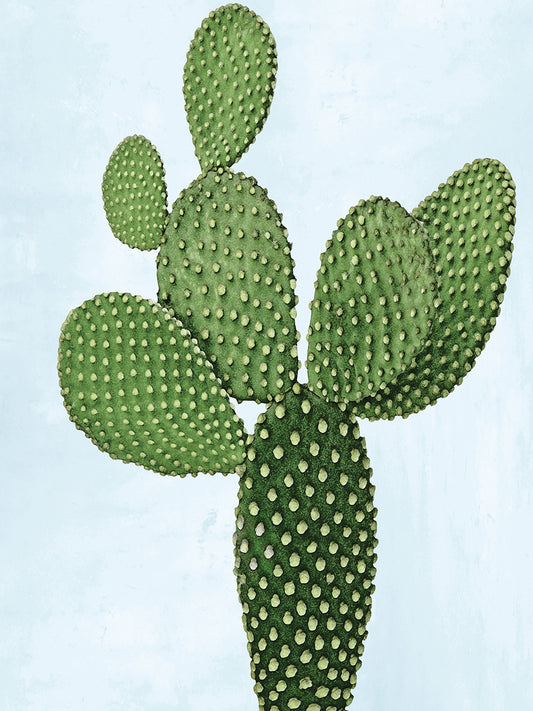 Cactus on Blue VIII Canvas Print