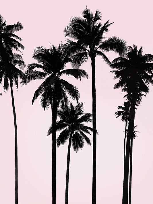 Tall Palms Black on Pink I