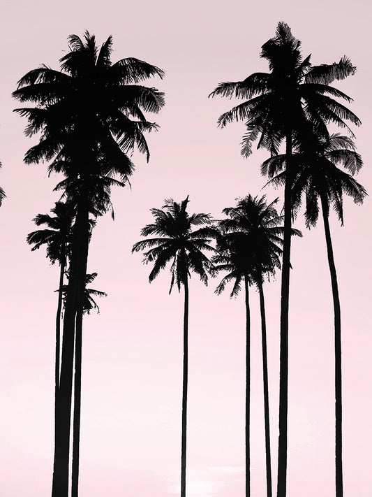 Tall Palms Black on Pink II