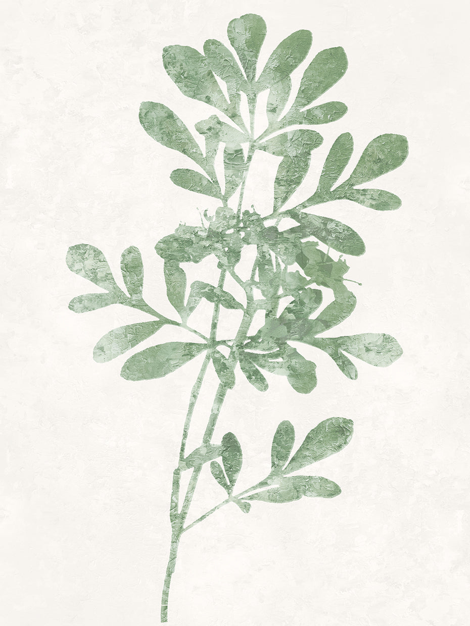 Nature Green II