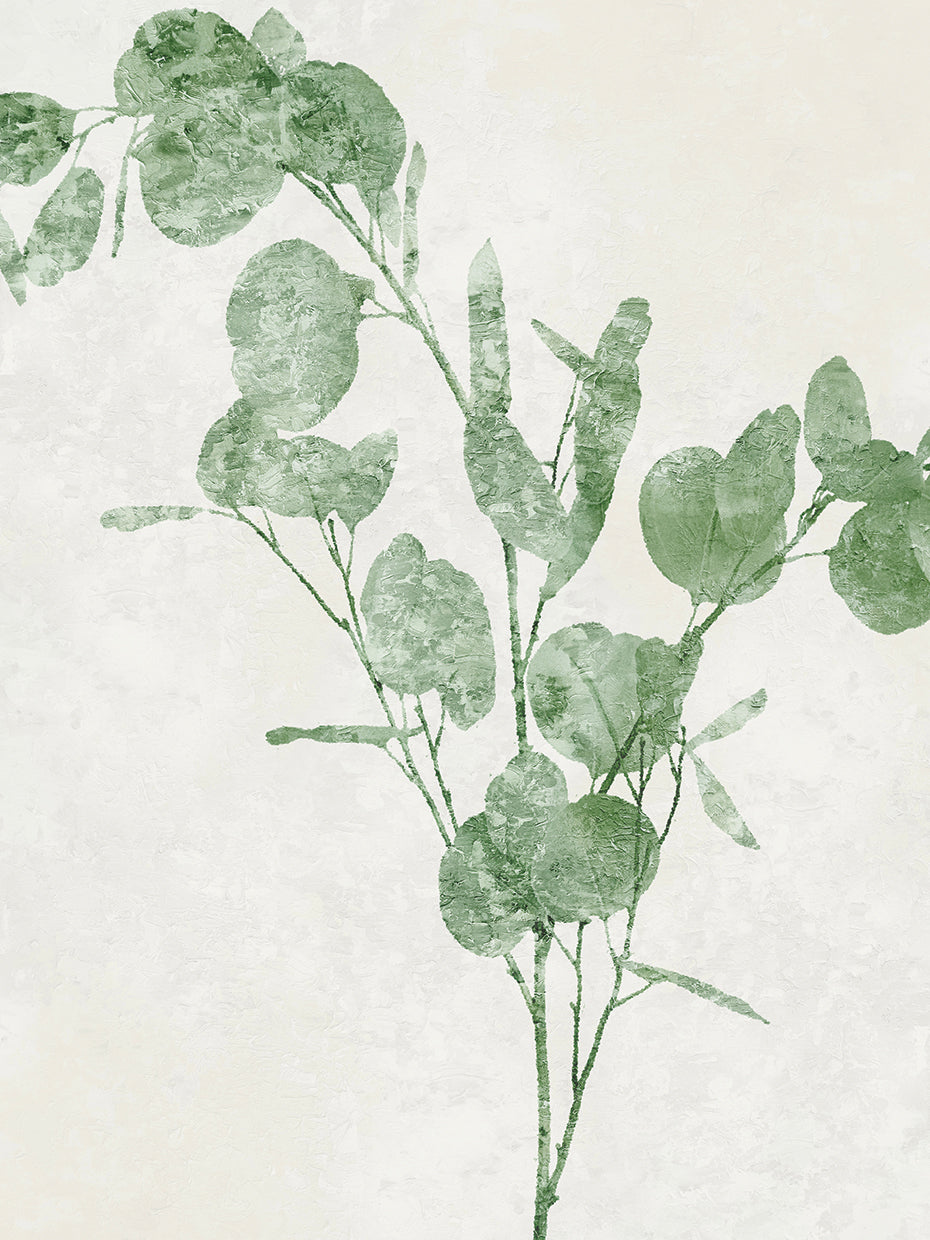 Nature Green III