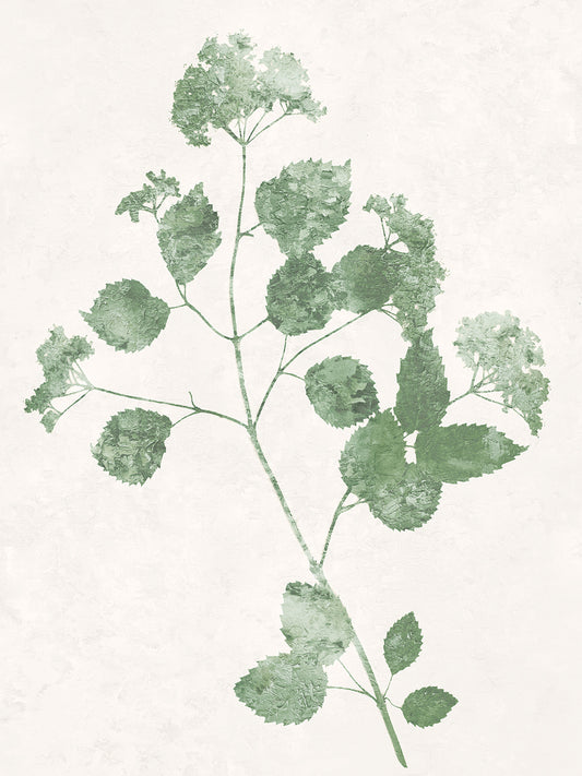 Nature Green VI Canvas Print