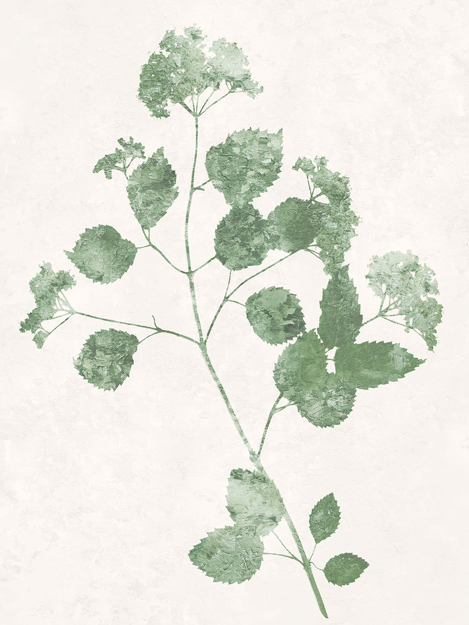 Nature Green VI