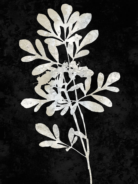 Nature White on Black II Canvas Print