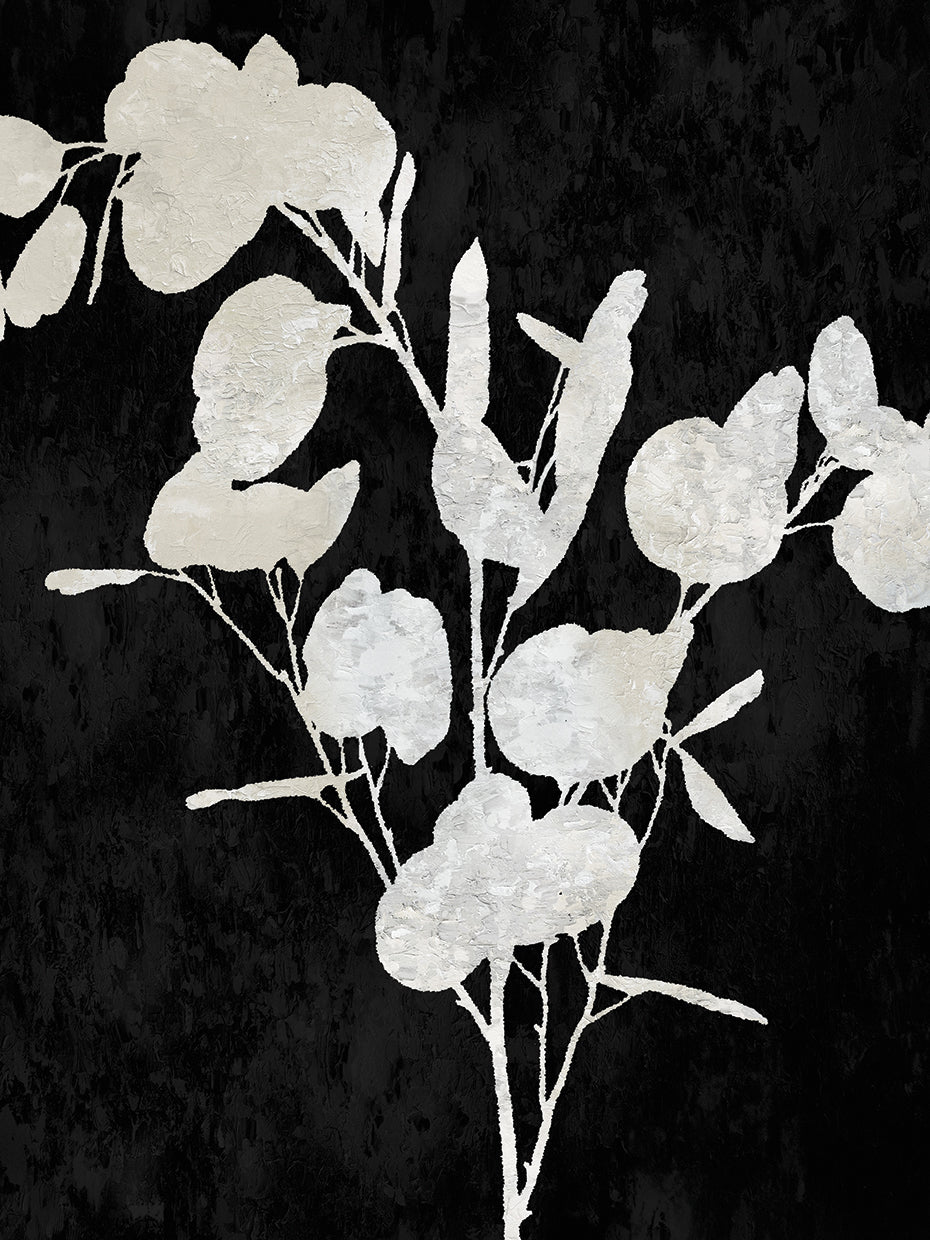 Nature White on Black III