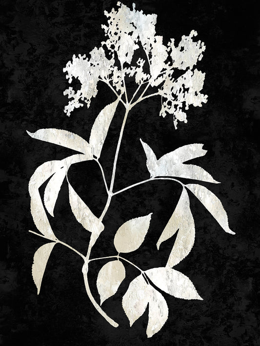 Nature White on Black V Canvas Print