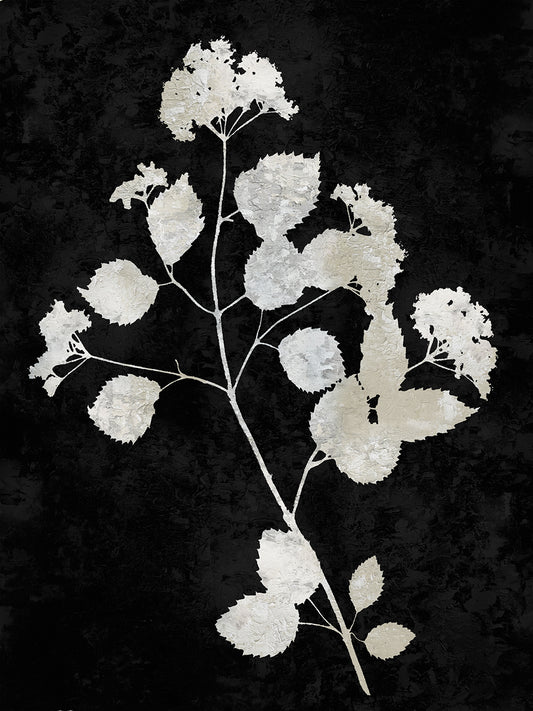Nature White on Black VI Canvas Print