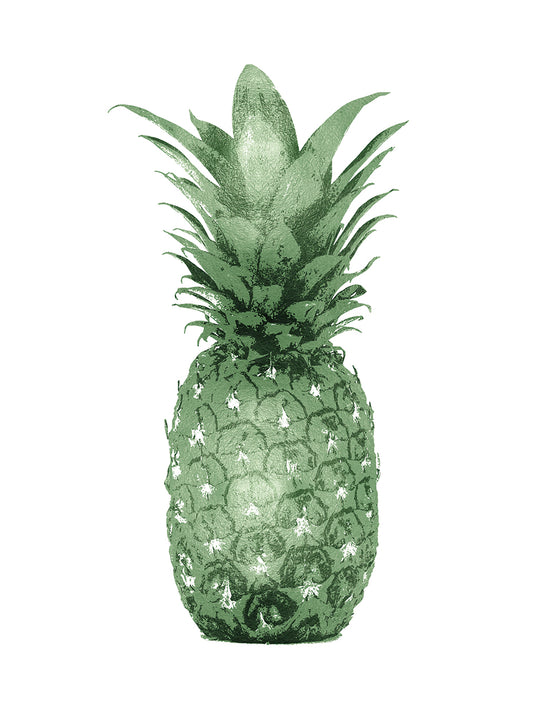 Pineapple Green I Canvas Print