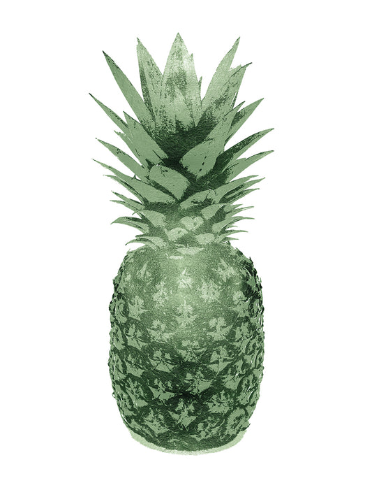 Pineapple Green II Canvas Print