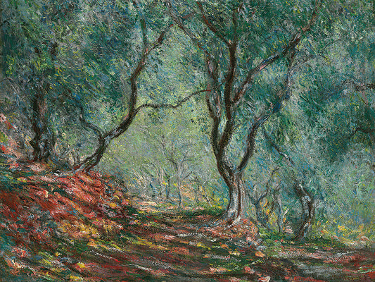 Bois d’oliviers au jardin Moreno (1884) Canvas Print