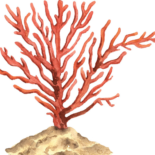 Indigo Ocean - Coral 2