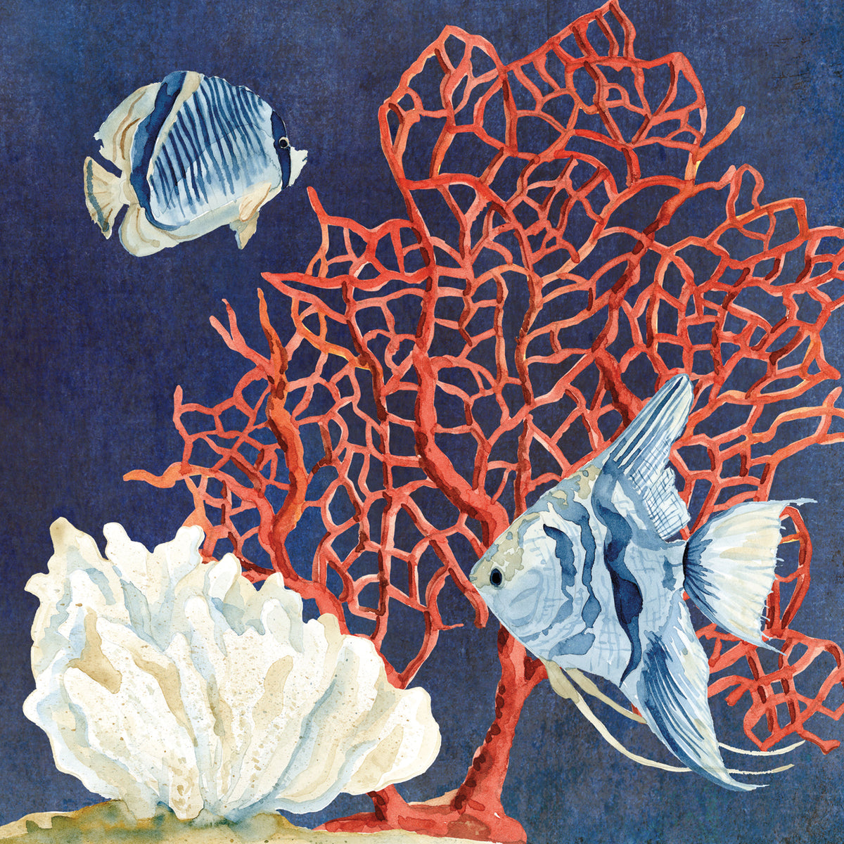 Indigo Ocean - Coral 3
