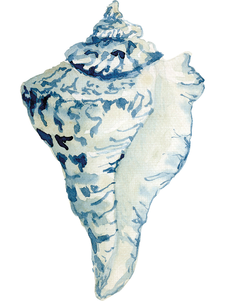 Indigo Ocean - Shell