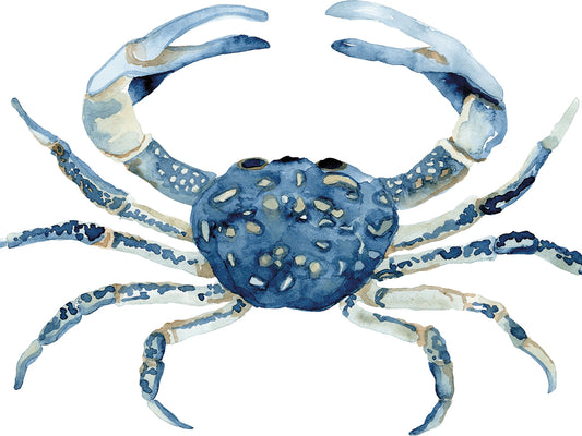 Indigo Ocean - Crab