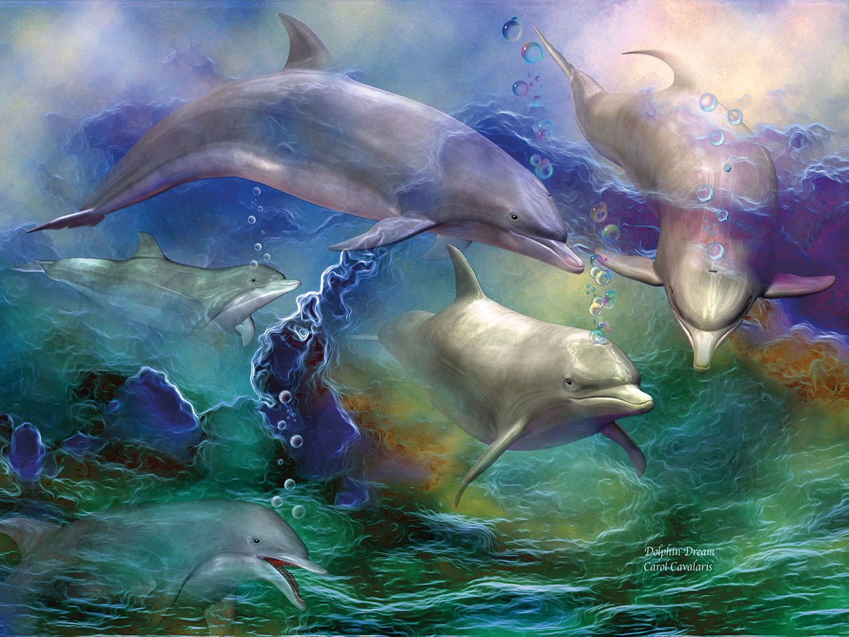 Dolphin Dream