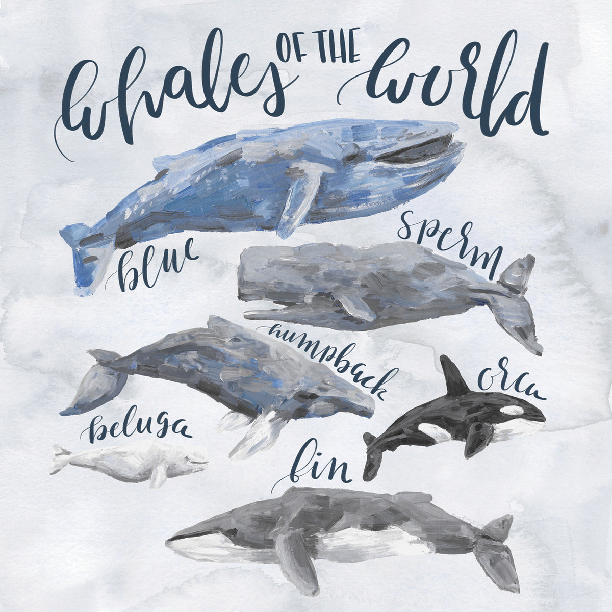 Whales And Sharkes - Whales