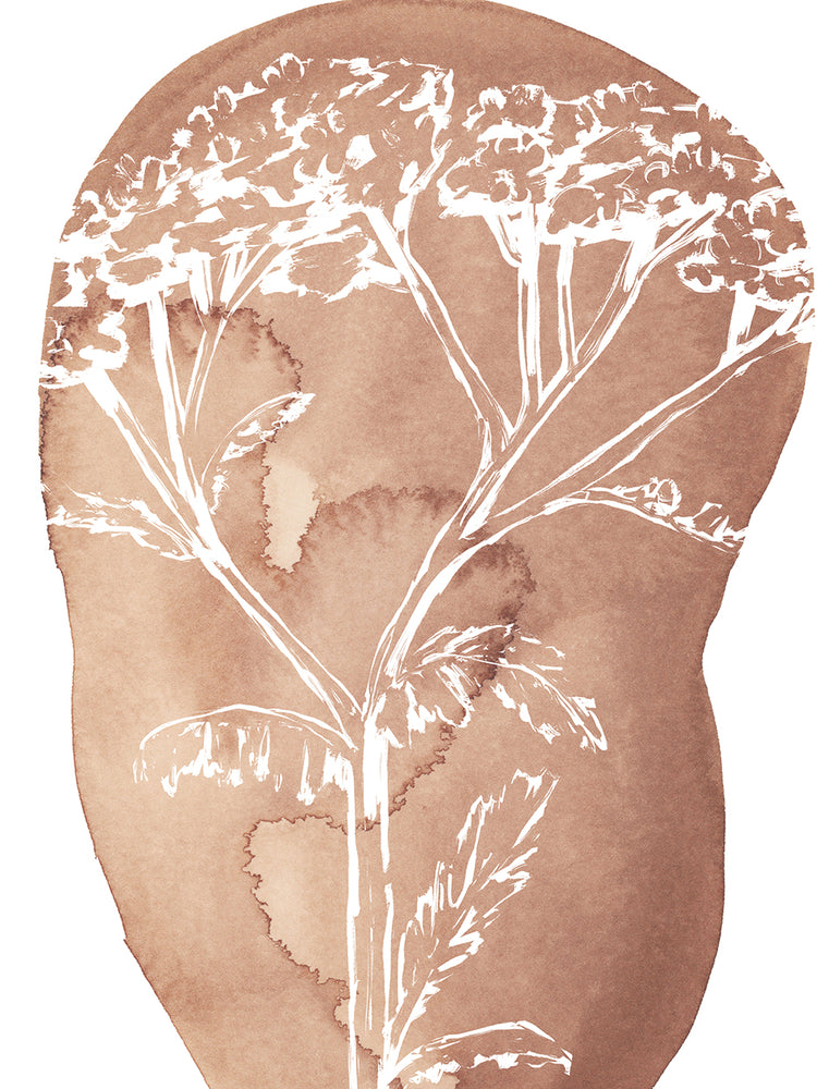 French Countryside Flora 2