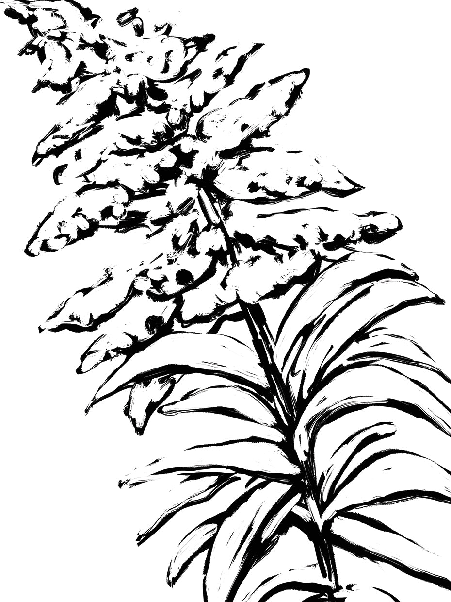 French Countryside Flora 4