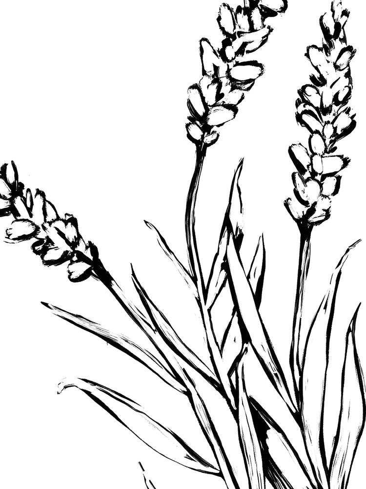 French Countryside Flora 5