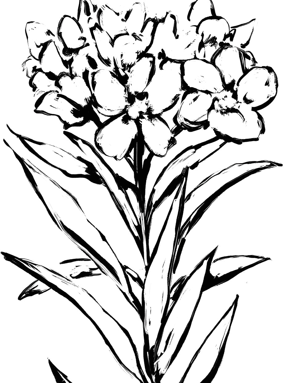 French Countryside Flora 6
