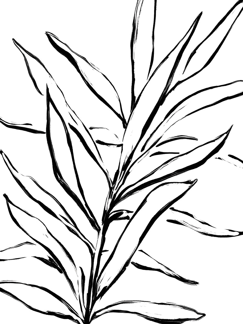 French Countryside Flora 7