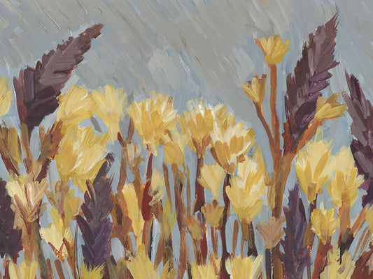 Big Sur Blooms - Nature 3 Canvas Print