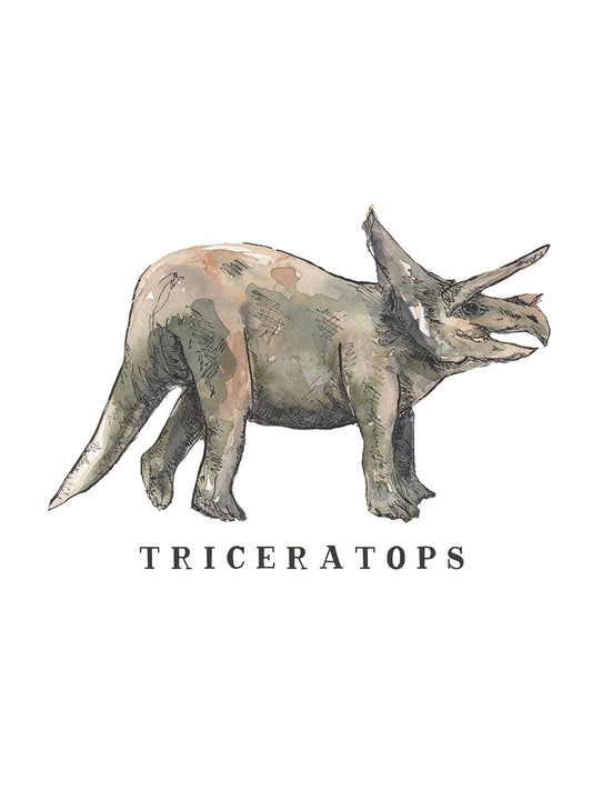 Dinosaur Invasion - Triceratops Canvas Print
