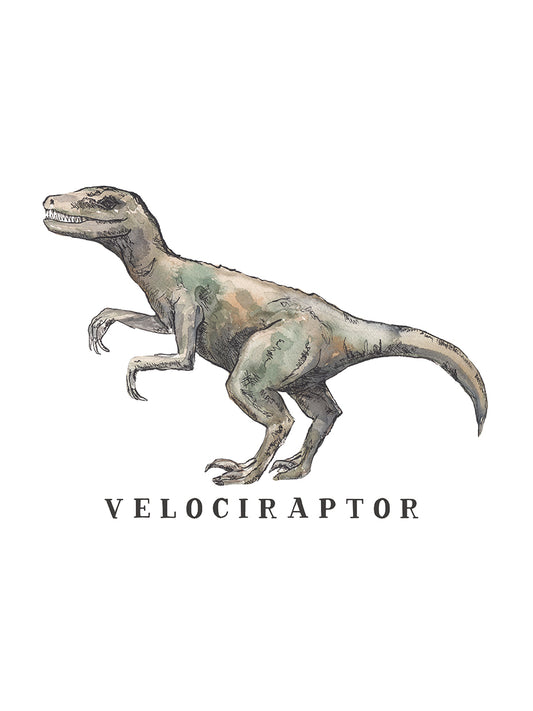 Dinosaur Invasion - Veloceraptor