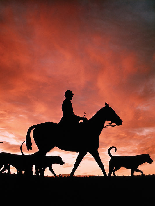 Equestrian Sunset Canvas Print