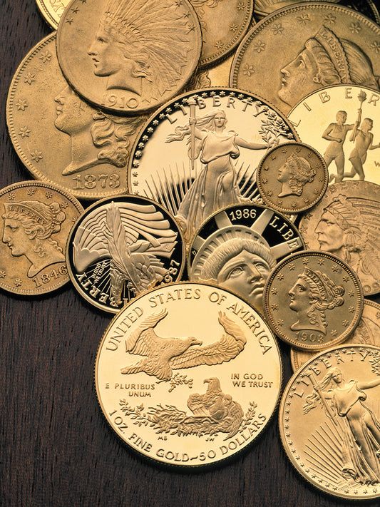 American Coins Variety Canvas Print